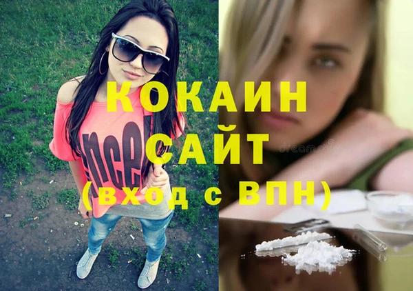 стафф Бородино